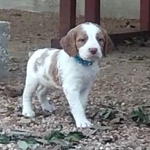 Meet your Posher, Lucien